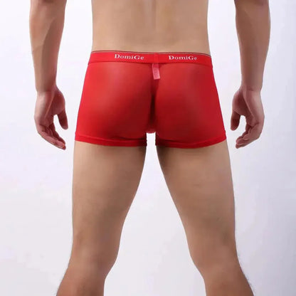DomiGe DomiGe Sheer Men's Low Rise See-Through Mesh Boxer Shorts