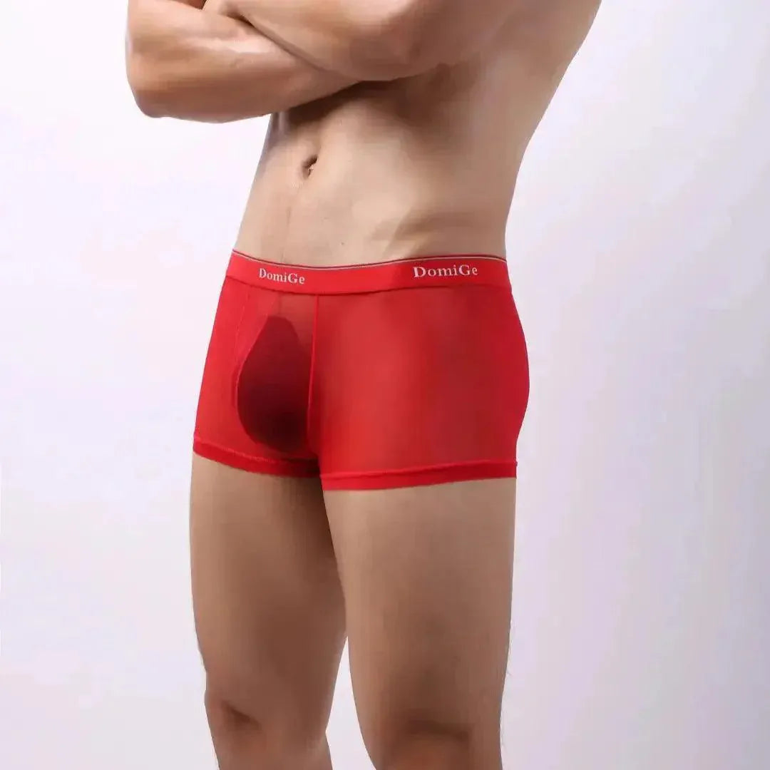 DomiGe DomiGe Sheer Men's Low Rise See-Through Mesh Boxer Shorts