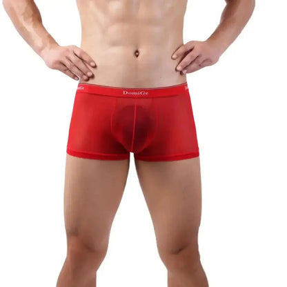 DomiGe DomiGe Sheer Men's Low Rise See-Through Mesh Boxer Shorts