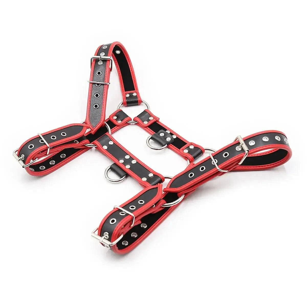 DomiGe Male Harness Red Leather Men's Underwear