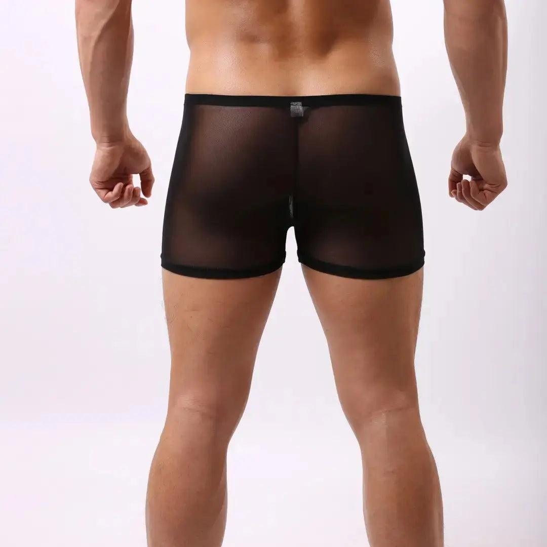 DomiGe Male Underwear Transparent Boxers Sheer Men Sexy Boxers - His Inwear