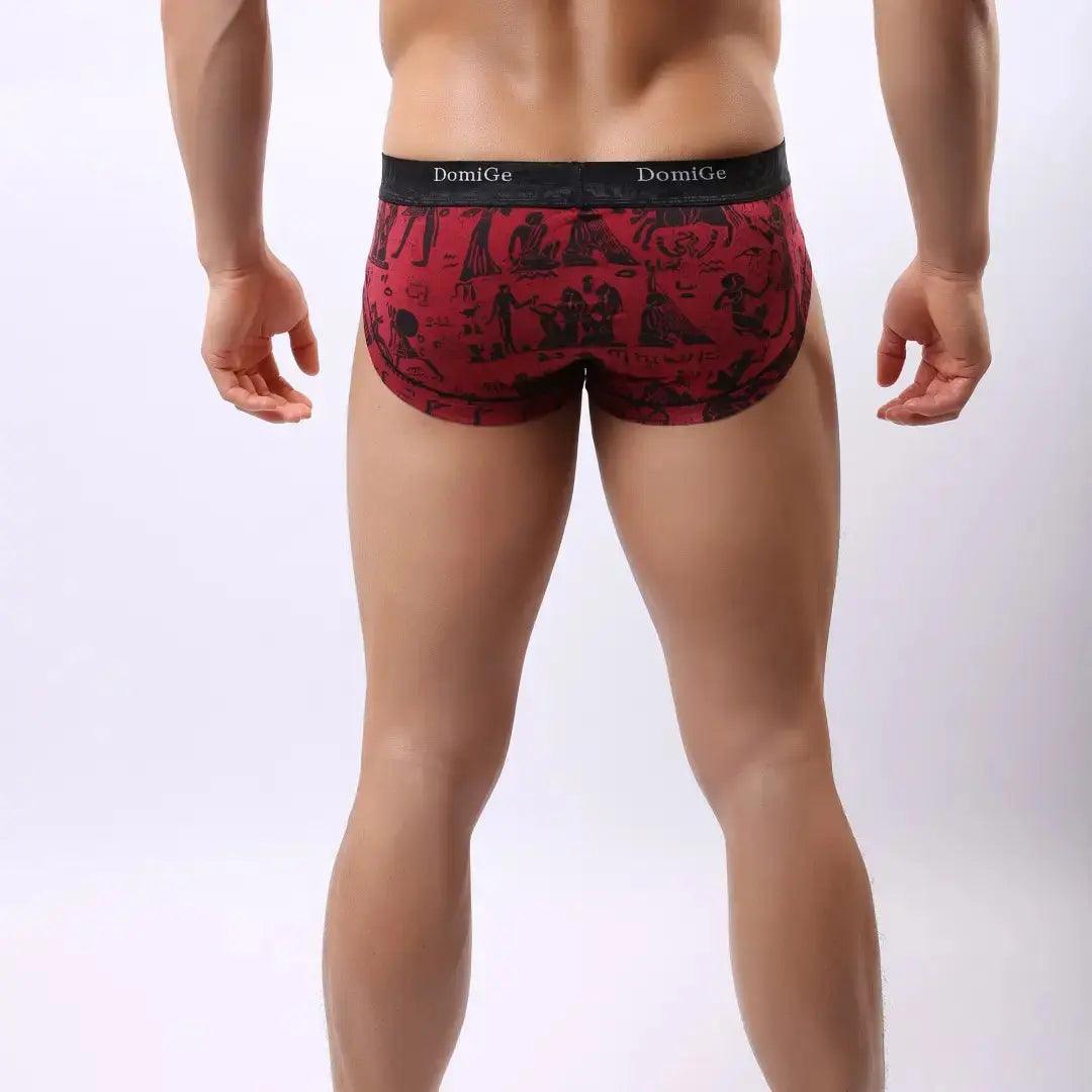 DomiGe Men's Bamber Trunks Briefs Moisture Management Underwear - His Inwear