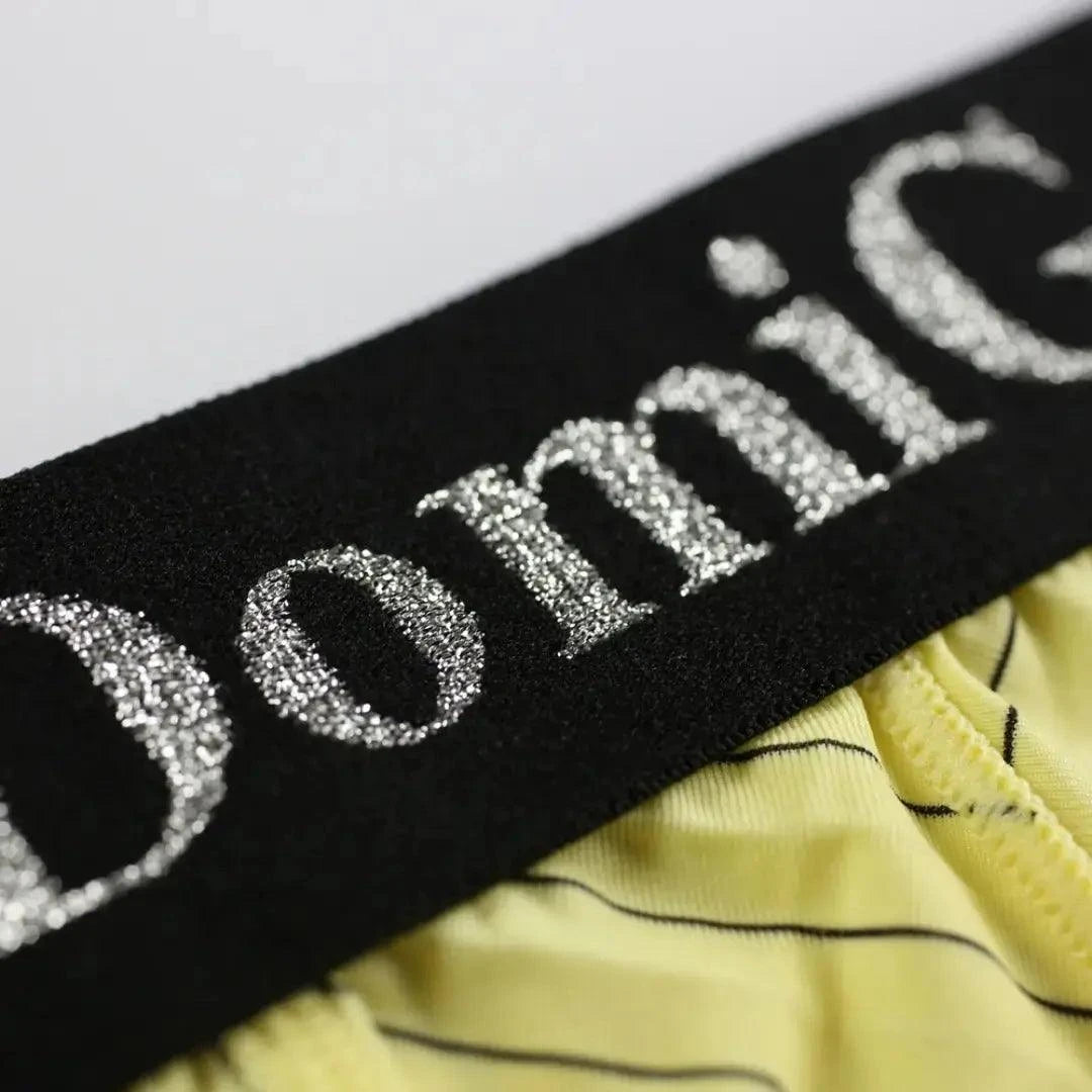 DomiGe Men's Ice Silk Striped Mid-Waist Trunks Pouch Male Underwear