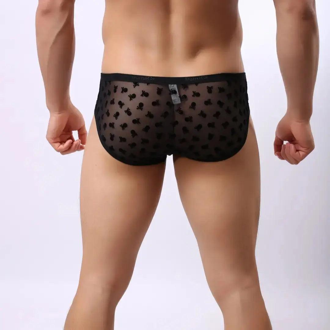 DomiGe Men's Lace Briefs Nylon Mesh Underwear Mid-Rise Lingerie - His Inwear