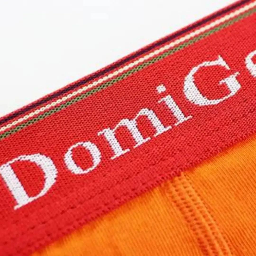 DomiGe Men's Low-Rise Modal Briefs with U-Pouch - His Inwear