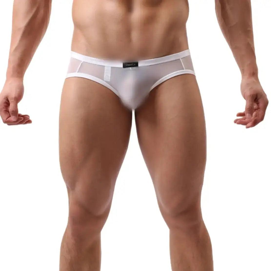 DomiGe Men's Sheer Briefs with Contoured Pouch and Logo Waistband - His Inwear