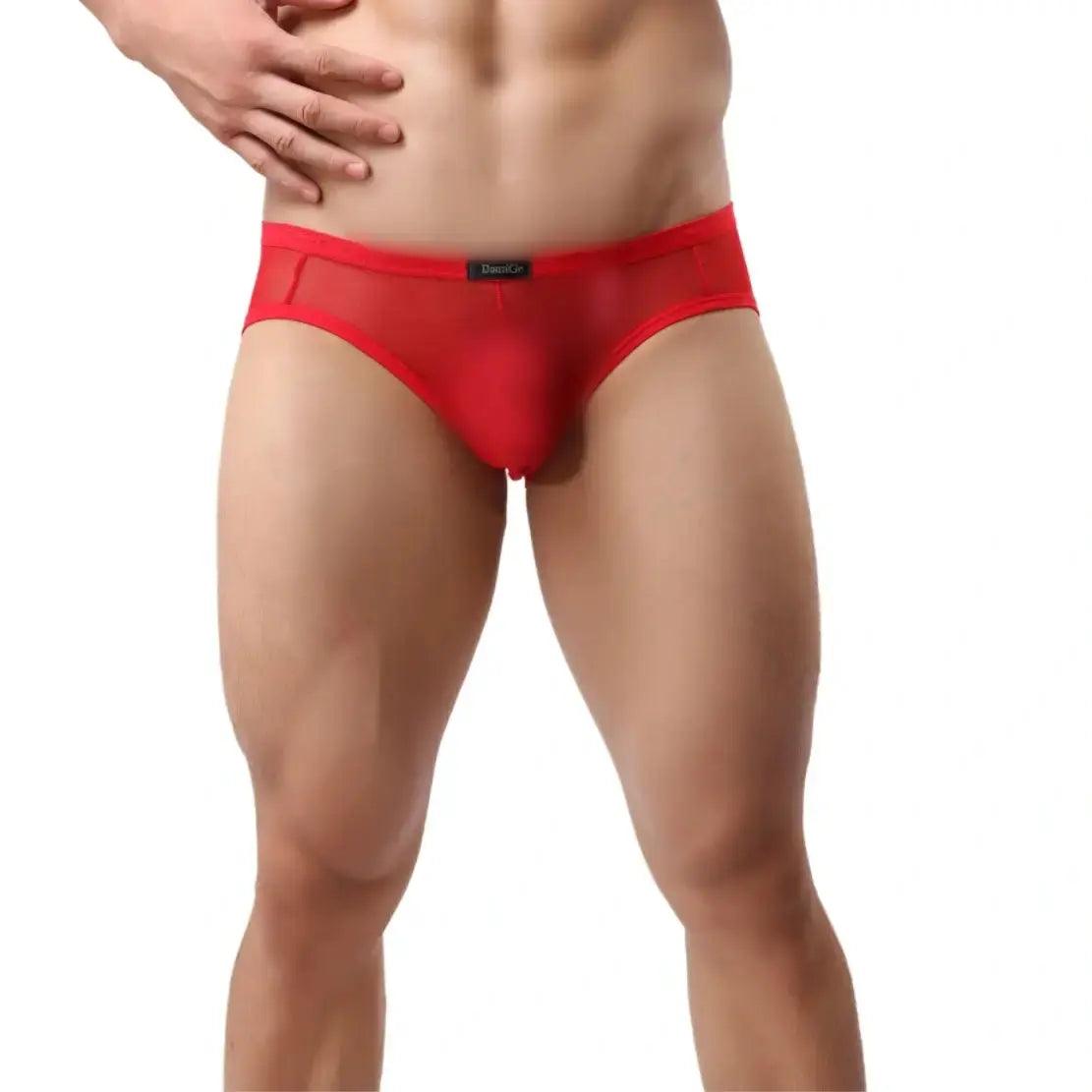 DomiGe Men's Sheer Briefs with Contoured Pouch and Logo Waistband - His Inwear