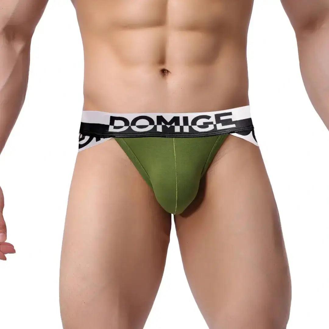 DomiGe Men's Underwear Briefs with Silver Logo Waistband - His Inwear