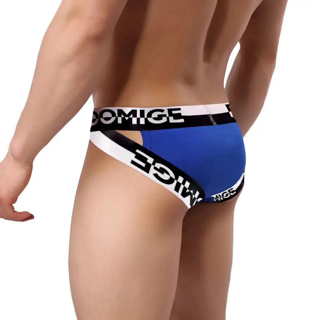 DomiGe Men's Underwear Briefs with Silver Logo Waistband - His Inwear