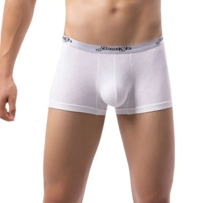 DomiGe Men's Underwear DomiGe Low-Rise Boxer Brief | 3D Pouch | Cotton-Spandex | Up to 4XL White Front