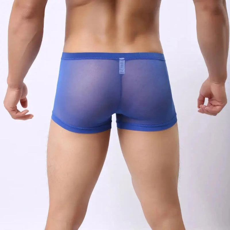 Back view of DomiGe blue modal mesh boxer briefs — no-chafe flat seam rear, no ride-up fit	