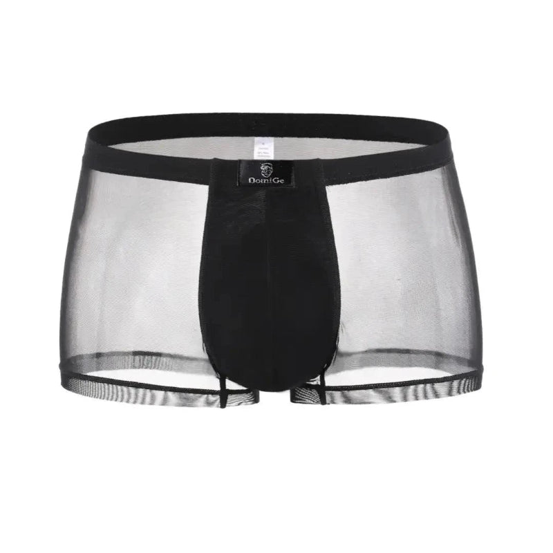 DomiGe sheer boxer briefs in black — 3D product view showing transparent mesh body and solid modal front pouch with DomiGe logo waistband	