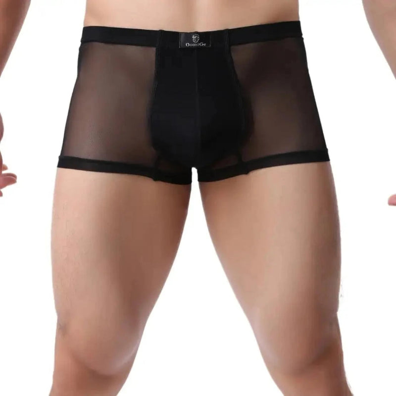 DomiGe sheer boxer briefs in black — model front view showing see-through mesh body and modal-lined bulge enhancing pouch	