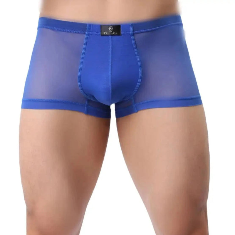 DomiGe sheer boxer briefs in blue — model front view showing see-through mesh body and modal-lined bulge enhancing pouch	