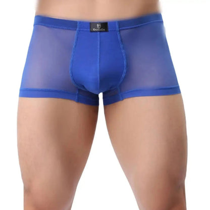 DomiGe sheer boxer briefs in blue — model front view showing see-through mesh body and modal-lined bulge enhancing pouch	
