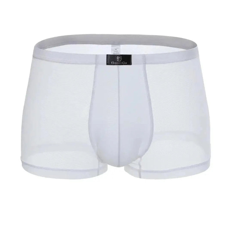 DomiGe sheer boxer briefs in white — 3D product view showing transparent mesh body and solid modal front pouch with DomiGe logo waistband	