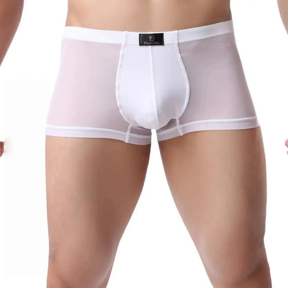 DomiGe sheer boxer briefs in white — model front view showing see-through mesh body and modal-lined bulge enhancing pouch	