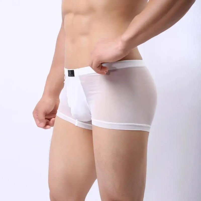 DomiGe sheer boxer briefs in white — model side view showing low-rise fit and transparent mesh body	