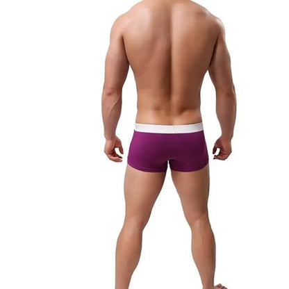 Dominik Dominik Men's Cotton Blend Boxer Shorts – Men's Underwear OPR4204