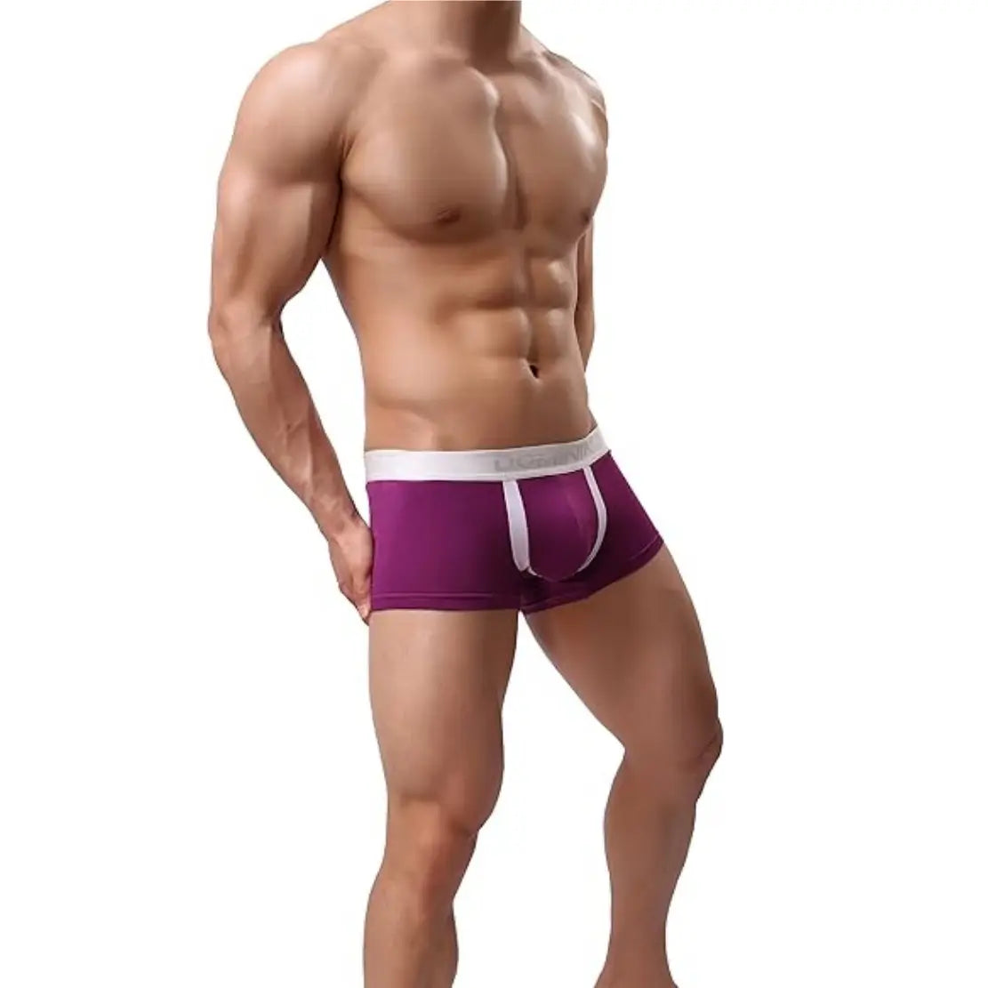 Dominik Dominik Men's Cotton Blend Boxer Shorts – Men's Underwear OPR4204