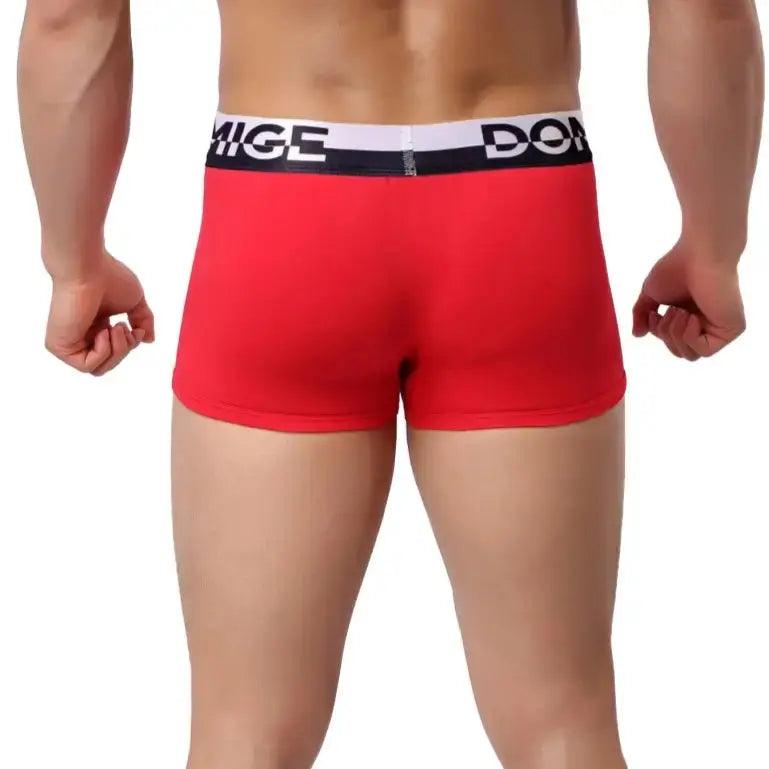 Men's Cotton Boxer Briefs with Silver Waistband and Turtle Shell Design Male Underwears - His Inwear