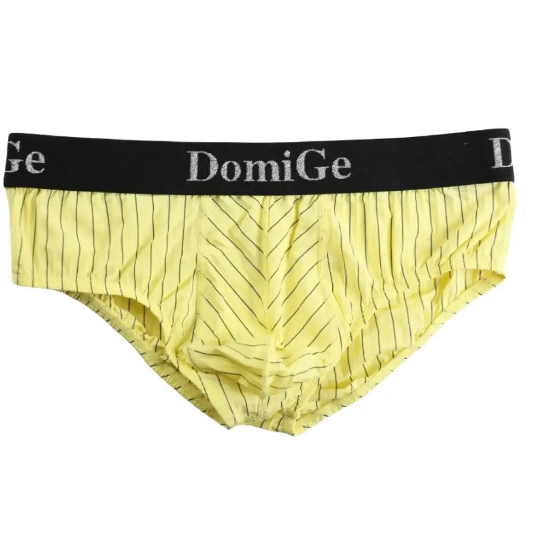 Men's Ice Silk Striped Mid-Waist Trunks with Silver Logo Waistband and Contour Pouch Male Underwear - His Inwear