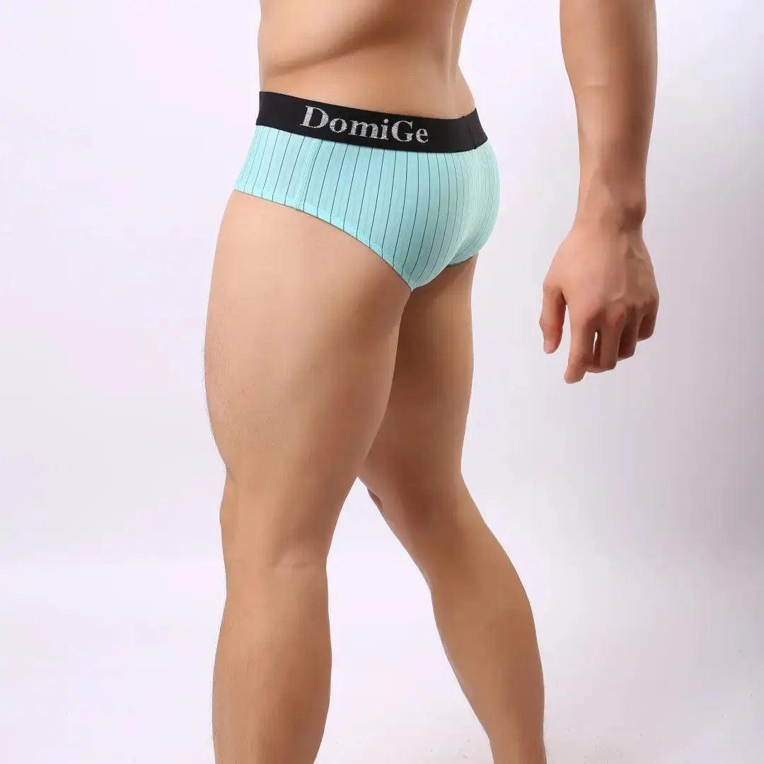 Men's Ice Silk Striped Mid-Waist Trunks with Silver Logo Waistband and Contour Pouch Male Underwear - His Inwear