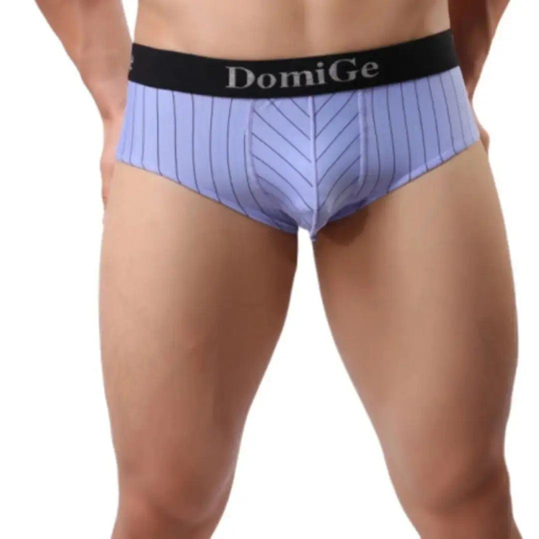 Men's Ice Silk Striped Mid-Waist Trunks with Silver Logo Waistband and Contour Pouch Male Underwear - His Inwear