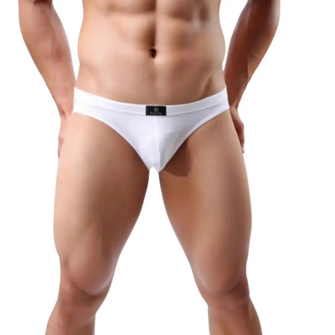 Men's Low-Rise Modal Briefs: Sleek Design Meets Unmatched Comfort Male Underwear - His Inwear