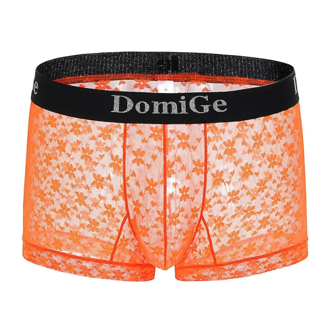 Men's Mesh and Sheer Trunks with Stylish Logo Waistband - Ultimate Comfort & Seduction Male Underwear - His Inwear