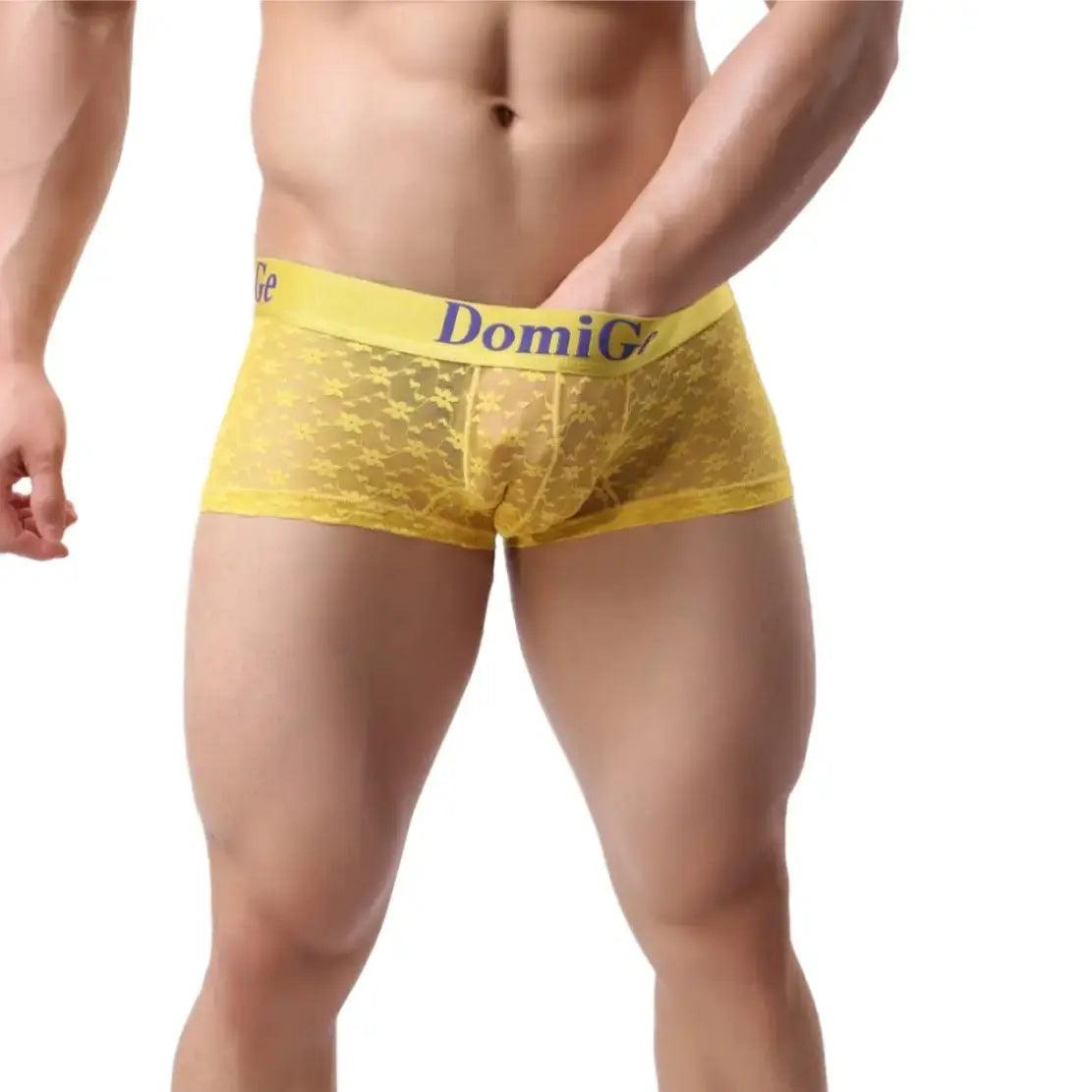 Men's Mesh and Sheer Trunks with Stylish Logo Waistband - Ultimate Comfort & Seduction Male Underwear - His Inwear