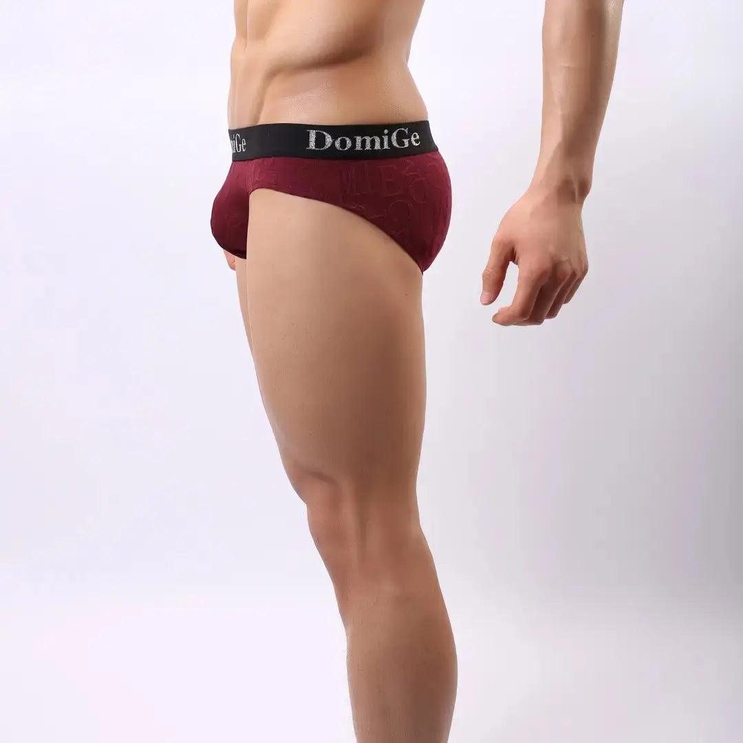 Men's Mid-Rise Bamboo Fiber Briefs with Enhanced Comfort Design and Signature Logo Waistband Male Underwear - His Inwear