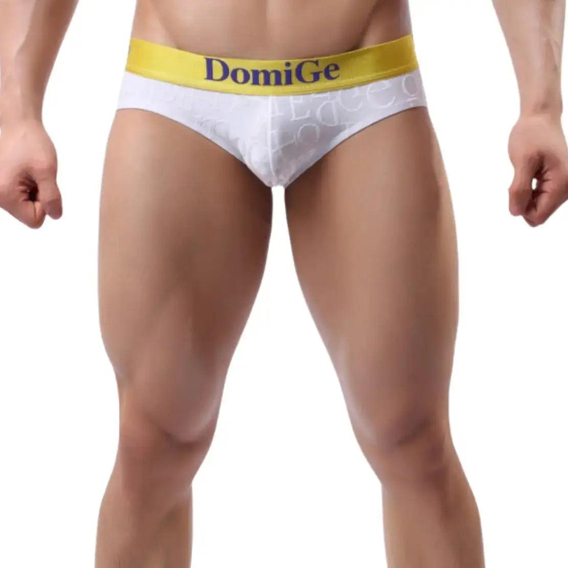 Men's Mid-Rise Bamboo Fiber Briefs with Enhanced Comfort Design and Signature Logo Waistband Male Underwear - His Inwear