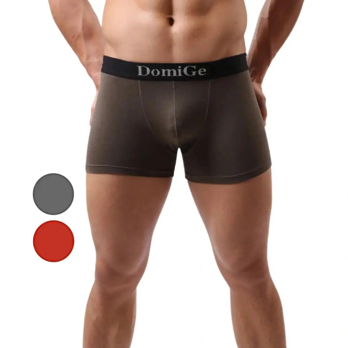 Men's Mid-Rise Modal Boxers with Silver Logo Waistband Pouch Male Underwear - His Inwear