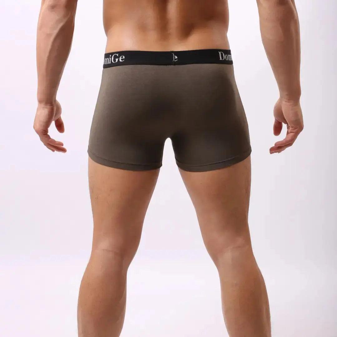 Men's Mid-Rise Modal Boxers with Silver Logo Waistband Pouch Male Underwear - His Inwear