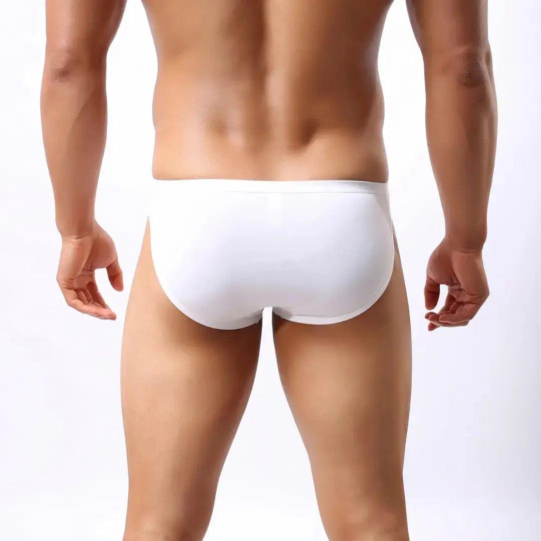 Men's Premium Ice Silk Nylon Briefs Nylon Logo Waistband and Seamless Rear Design Male Underwear - His Inwear