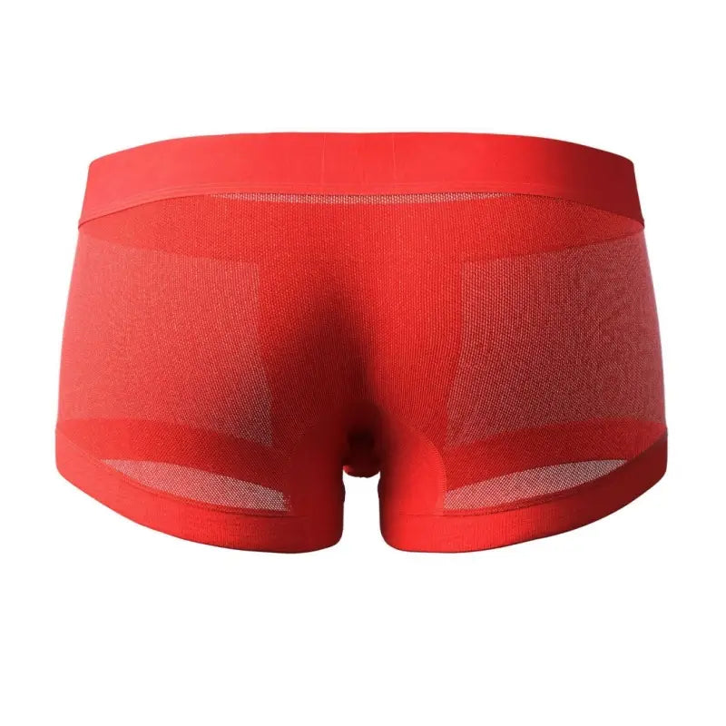 Seobean Men's Mesh Boxer Briefs - Breathable Semi-Transparent Underwear