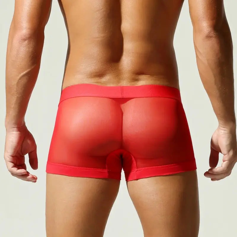 Seobean Men's Mesh Boxer Briefs - Breathable Semi-Transparent Underwear