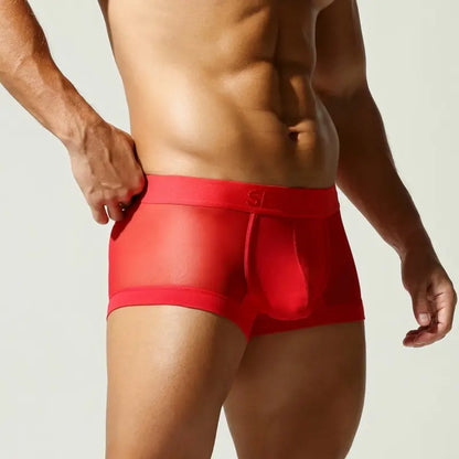 Seobean Men's Mesh Boxer Briefs - Breathable Semi-Transparent Underwear