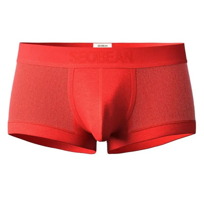 Seobean Men's Mesh Boxer Briefs - Breathable Semi-Transparent Underwear