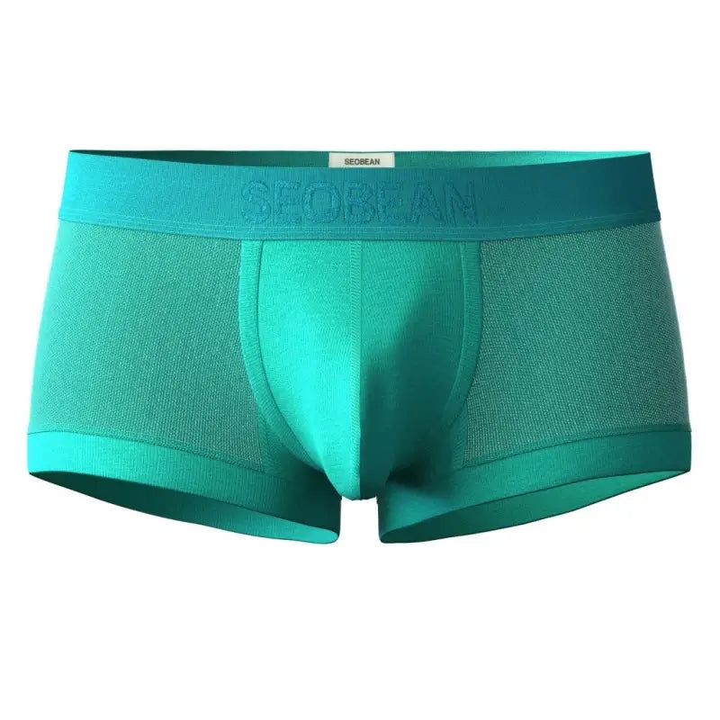 Seobean Men's Mesh Boxer Briefs - Breathable Semi-Transparent Underwear