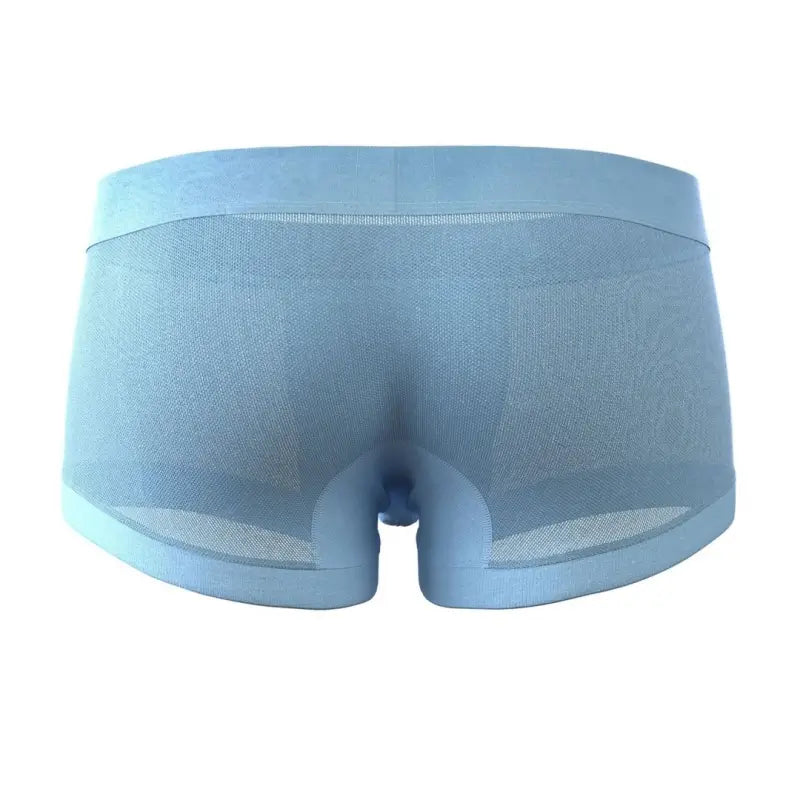 Seobean Men's Mesh Boxer Briefs - Breathable Semi-Transparent Underwear