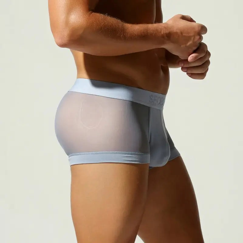 Seobean Men's Mesh Boxer Briefs - Breathable Semi-Transparent Underwear