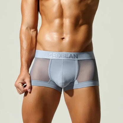Seobean Men's Mesh Boxer Briefs - Breathable Semi-Transparent Underwear