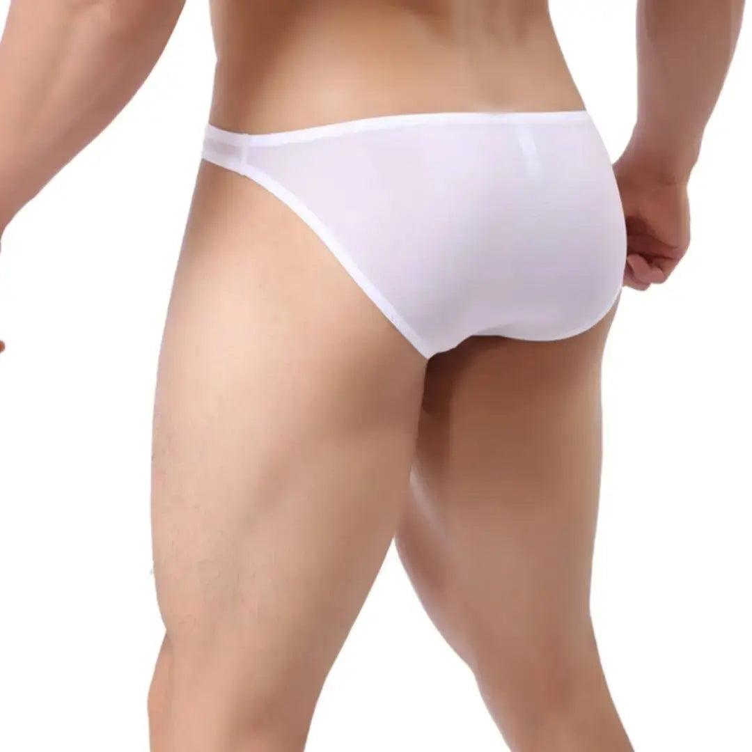 SleekFit Men's Ultra-Comfort Nylon-Spandex Low-Rise Briefs with Full Coverage Male Briefs Underwear - His Inwear