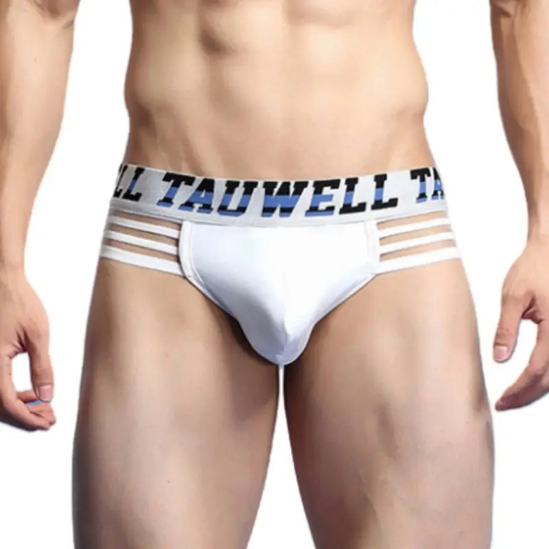 Tauwell Tauwell Men's Low Rise Briefs Sexy Bikini Underwear 23101