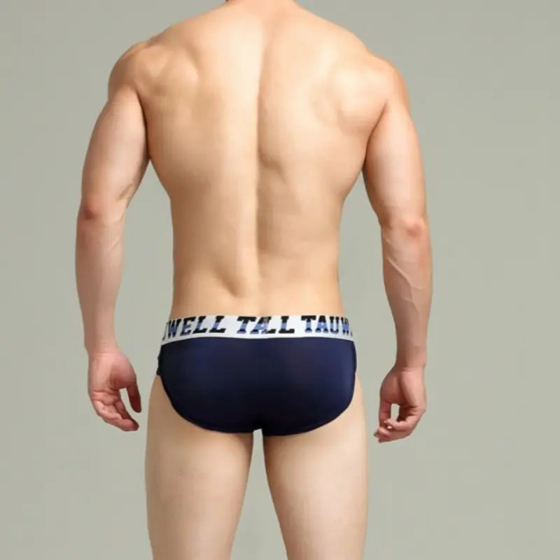 Tauwell Tauwell Men's Low Rise Briefs Sexy Bikini Underwear 23101