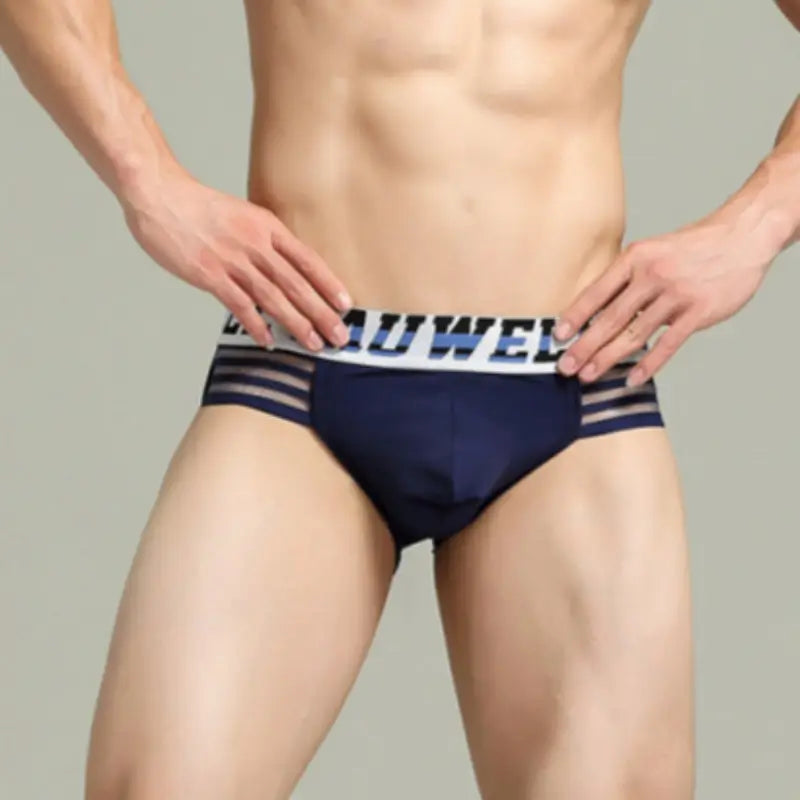 Tauwell Tauwell Men's Low Rise Briefs Sexy Bikini Underwear 23101