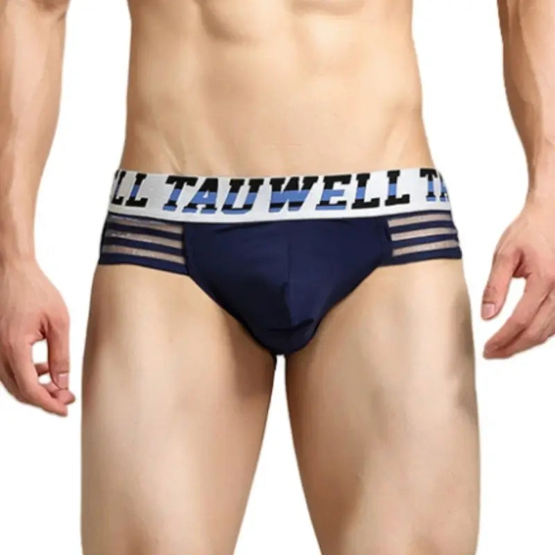 Tauwell Tauwell Men's Low Rise Briefs Sexy Bikini Underwear 23101