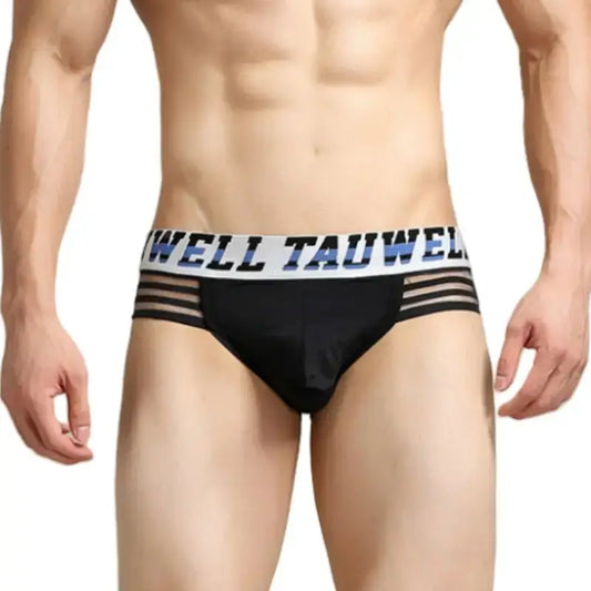 Tauwell Tauwell Men's Low Rise Briefs Sexy Bikini Underwear 23101